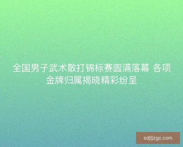 全国男子武术散打锦标赛圆满落幕 各项金牌归属揭晓精彩纷呈