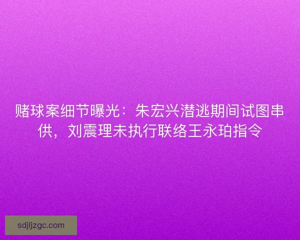赌球案细节曝光：朱宏兴潜逃期间试图串供，刘震理未执行联络王永珀指令